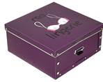 INCIDENCE BOITE DE RANGEMENT POUR LA LINGERIE "VIOLETTE"
