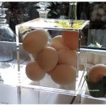 Boite de cuisine pour les oeufs