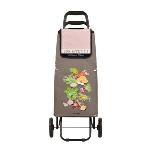 CHARIOT DE COURSES  DERRIERE LA PORTE "BON APPETIT"